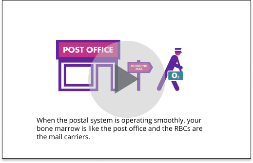 Publishing 2007-US-2400256_Reblozyl Post Office Animation